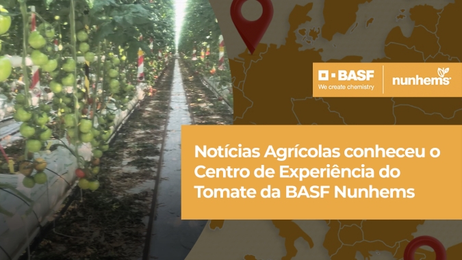 Notícias Agrícolas conheceu o Centro de Experiência do Tomate da BASF Nunhems