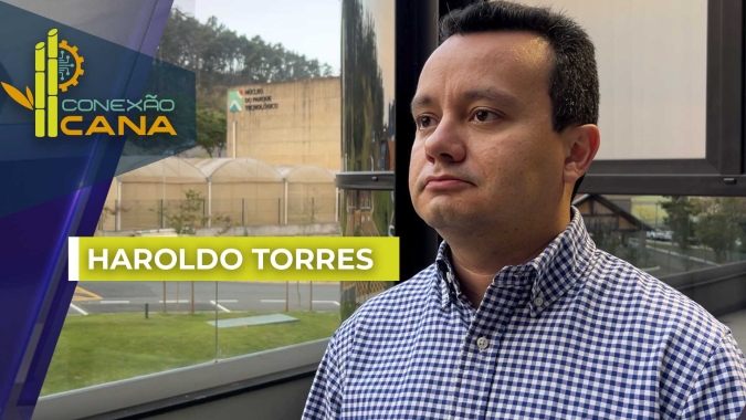 Seca já tirou 54 milhões de toneladas da safra de cana 24/25 e situação pode ficar ainda pior