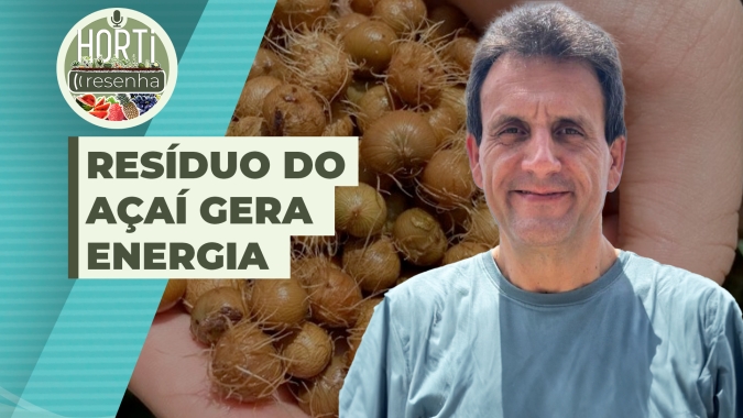 HORTI RESENHA #62 - Projeto no Pará usa resíduo do açaí para gerar energia em indústria