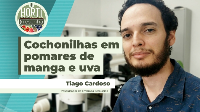 HORTI RESENHA #78 - Novas espécies de cochonilhas foram identificadas em pomares de manga e uva