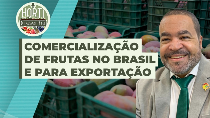 HORTI RESENHA #64 - Comercialização de frutas no Brasil e para exportação