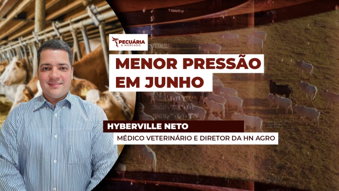 A oferta de animais deve reduzir ao longo de junho o que pode favorecer uma retomada no movimento de alta da arroba