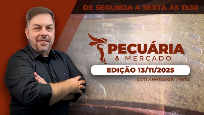 Os sinais do mercado do boi que indicam retomada da alta da arroba