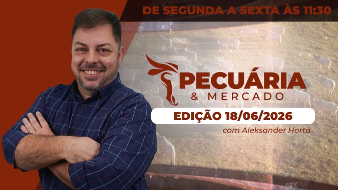 Movimento de queda nos preços da arroba do boi sinalizado pela B3 é exagerado e vai ser limitados pela menor oferta de animais