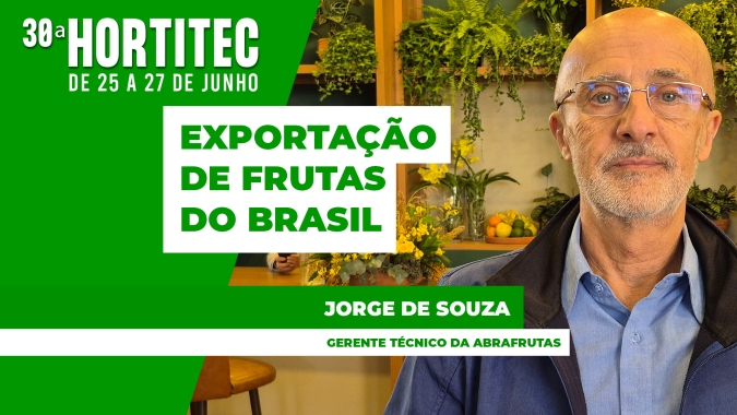 Exportação de frutas do Brasil pode atingir novos recordes em 2025