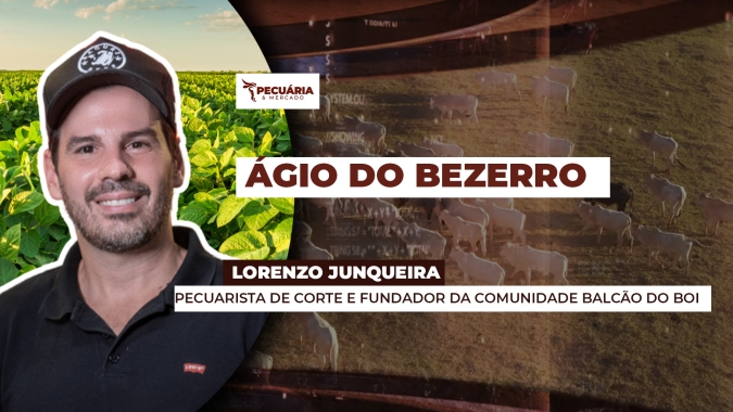 Bezerros registram valorização acima da média, enquanto garrotes e bois magros apresentam preços mais alinhados com a arroba do boi