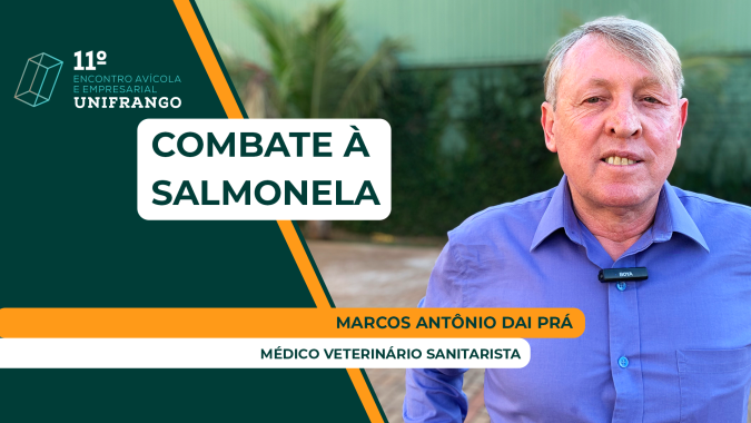 Falta de continuidade de um programa de controle contra salmonela traz preocupação para o setor granjeiro