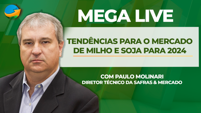 Mercado de grãos passa por momento delicado com perdas na safra e preços em queda; entenda as tendências para soja e milho em 2024