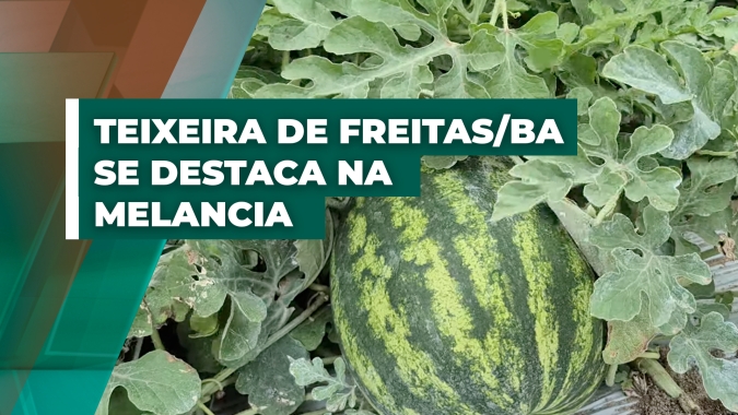 Teixeira de Freitas/BA se destaca por tecnologia e produtividade da fruta