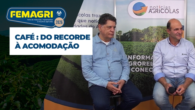 Após recorde de preços, café se acomoda, mas  mantém cenário de oportunidade para o produtor
