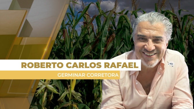 Preço do milho recua nesta 6ªfeira pressionado pela Argentina, mas ainda traz boas oportunidades para a safrinha 25