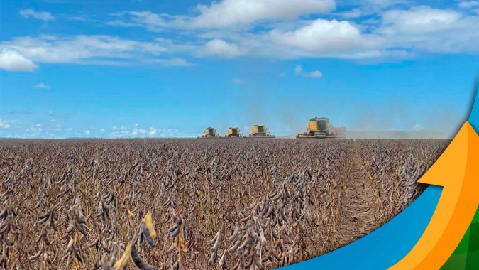 Rondônia projeta aumentar produtividade da soja em 5 sc/ha e lamenta gargalo logístico