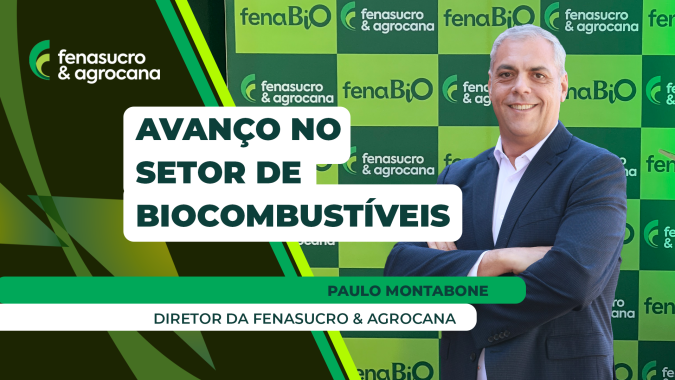 Setor de bioenergia passa por momento importante de crescimento e diversificação
