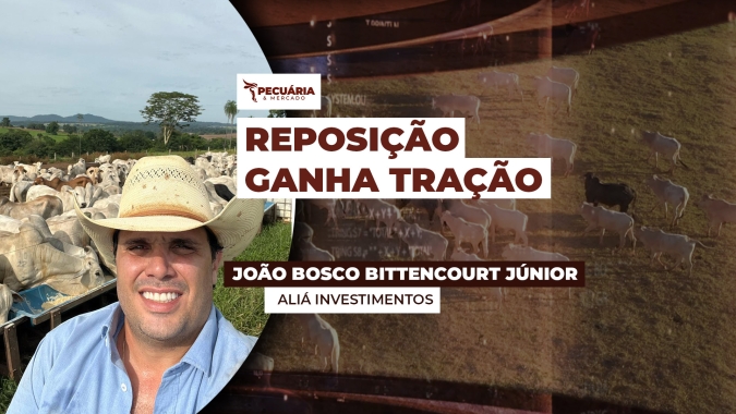 Preços da reposição avançam e pioram relação de troca com boi gordo