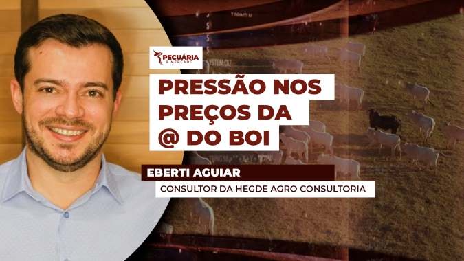 Boi Gordo: Pressão de safra já começou nos preços futuros; físico ainda segue resiliente