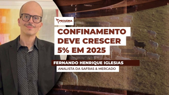 Produção brasileira nesta temporada pode passar de 8,3 milhões de toenadas