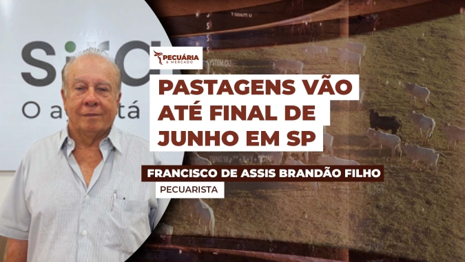 Continuidade das chuvas ao longo de abril pode garantir pastos produtivos até o final de junho, diz pecuarista em SP