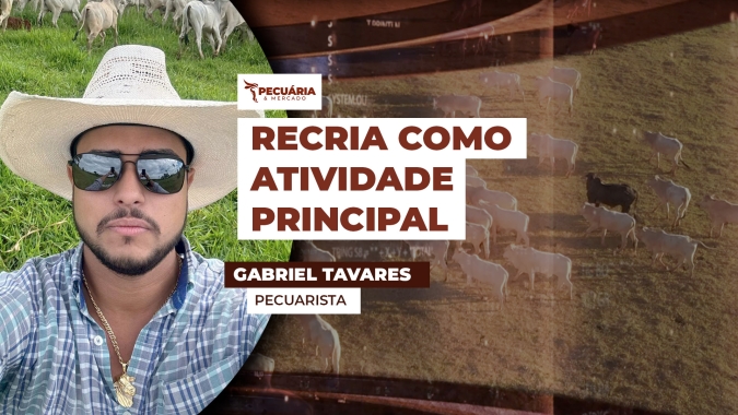 Pecuarista de Goiás relata rotina da atividade de recria e avalia mercado atual