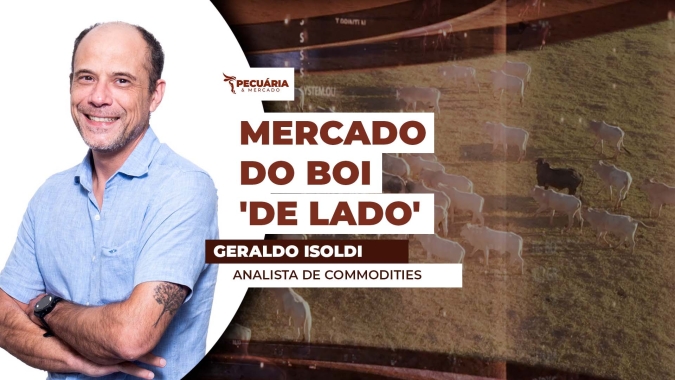 Curto prazo deve ser de mercado 'lateralizado' para os preços do boi gordo