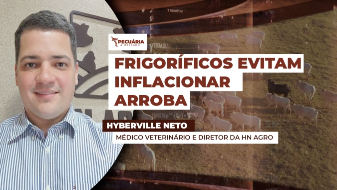 Apesar da postura retraída dos frigoríficos, início de mês, dia das mães e exportações fortes darão suporte aos preços