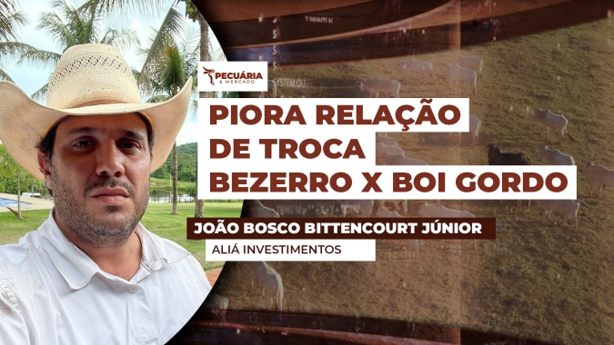 Ágio do bezerro acelera e já passa dos 30% na média Brasil