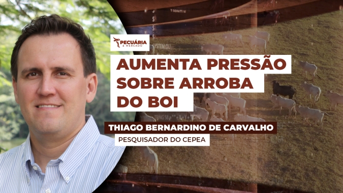 Escalas de abate alongaram e  frigoríficos aproveitam para pressionar arroba do boi