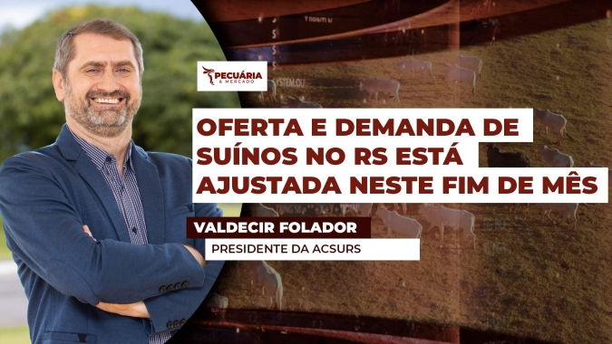 Oferta e demanda de suínos no RS está ajustada neste fim de mês
