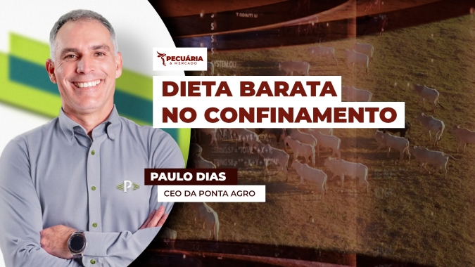 Custo alimentar do confinamento cai ao menor nível histórico no Centro-Oeste, mas sobe no Sudeste em fevereiro