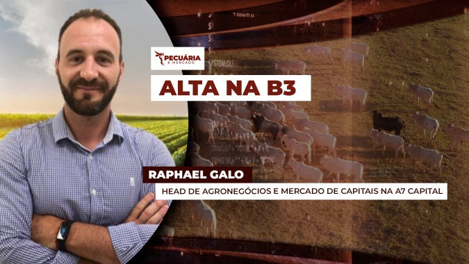 Alta forte da arroba na B3 conta com movimento especulativo e pode perder força nos próximos dias, alerta analista