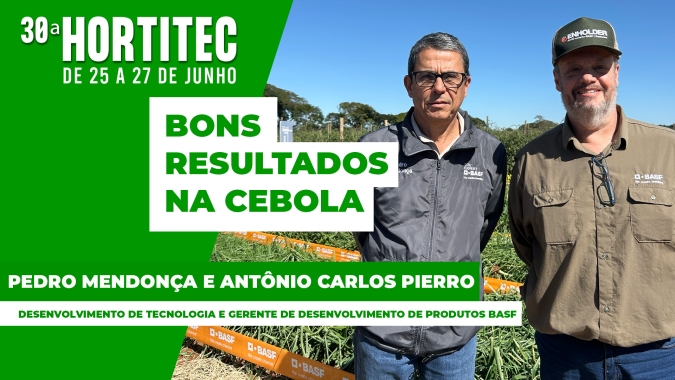 Aliar bons híbridos com um excelente controle de defensivos é essencial para bons resultados na cebola