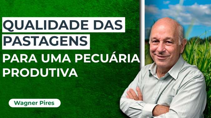 A importância da pastagem no processo produtivo da pecuária brasileira