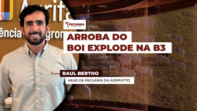 Arroba do boi sobe quase 20 reais nos contratos mais próximos na B3 e valorizam períodos que costumam ser de pressão nos preços