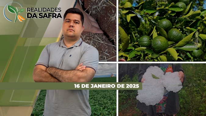 Paraná já tem perdas na soja e Maranhão se preocupa com nova taxação