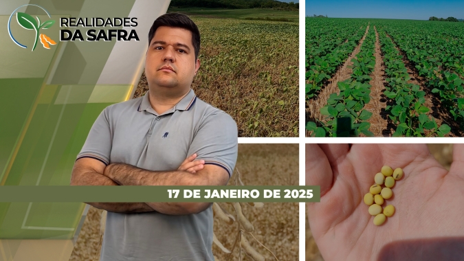 Consultoria estima safra recorde de soja enquanto clima ainda traz incertezas em algumas regiões