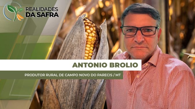 Milho Safrinha: Plantio das primeiras lavouras em Campo Novo do Parecis/MT contou com clima adverso e deve ter produtividade menor