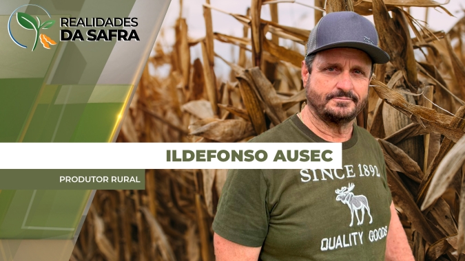 Alguns produtores de Dr.Camargo/PR estão gradeando o milho que não germinou pela falta de umidade