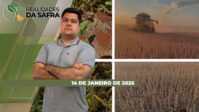 Colheita da soja começa lenta no Brasil e plantio do arroz é finalizado no RS