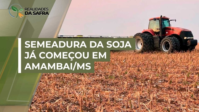 Plantio da soja começa em Pato Branco/PR com expectativa de boa produtividade