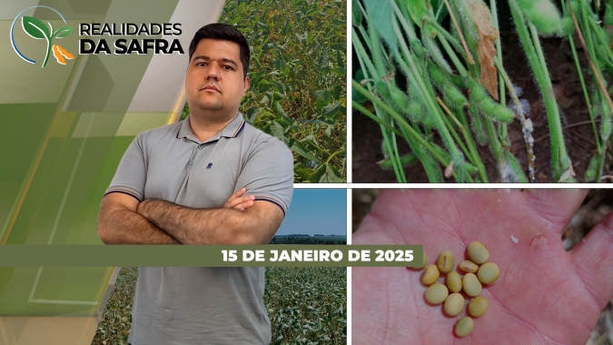 Colheita da soja começa com problemas no Paraná e Mato Grosso do Sul