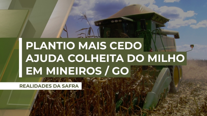Milho safrinha já foi todo colhido em Mineiros (GO), com produtividade garantida pelo cereal que foi plantado mais cedo