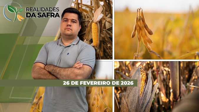 Com colheita da soja concentrada, custo do frete dispara no Brasil e fica muito acima da média dos últimos 5 anos