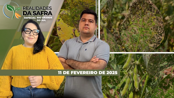Rio Grande do Sul acumula problemas com mais uma safra duramente afetada pelo clima; perdas na soja ainda são mensuradas