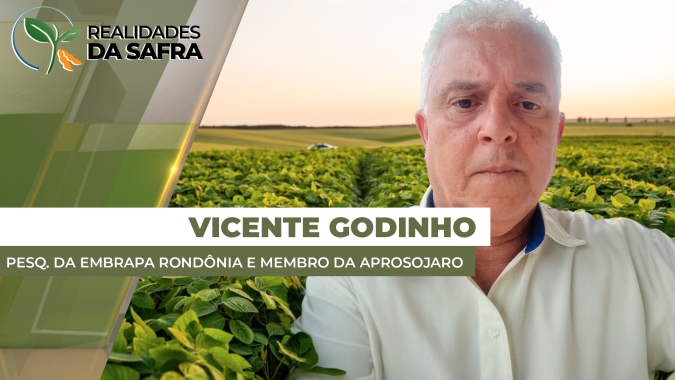 Plantio da soja já entra na reta final em Rondônia