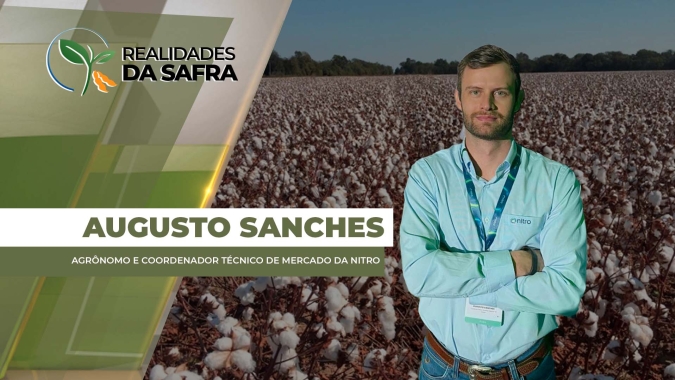Cenário desafiador para o produtor de algodão, com incertezas no mercado internacional