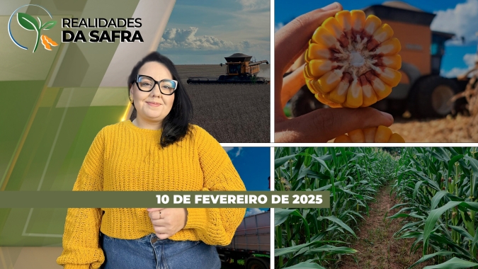 Enquanto Laguna Carapã/MS pode ter produtividade abaixo de 40 scs/ha, Goiás dá sequência à colheita de boa safra de soja 24/25