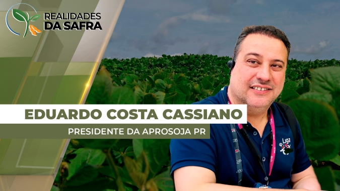 Colheita da soja no Paraná é a mais antecipada do país e apresenta produtividades bastante variadas