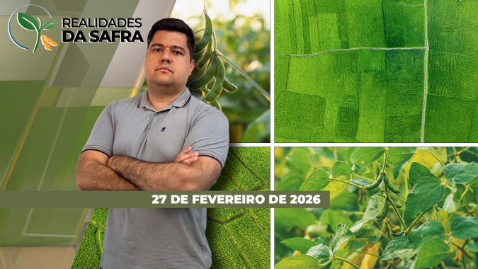 RS dá início a colheita da soja, enquanto Jataí/GO colheu apenas metade da safra com atraso e perda de produtividade