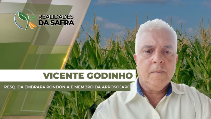 Condições estão ótimas para o milho de Rondônia com áreas de até 180 sc/ha