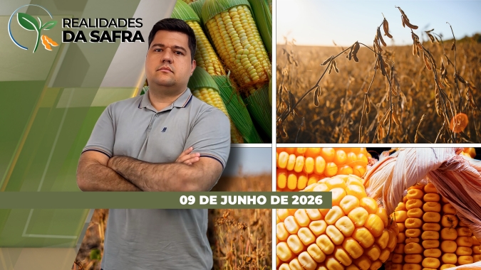 Mato Grosso espera boa safra de milho com colheita começando a ganhar ritmo pelo estado, que entra no vazio sanitário da soja