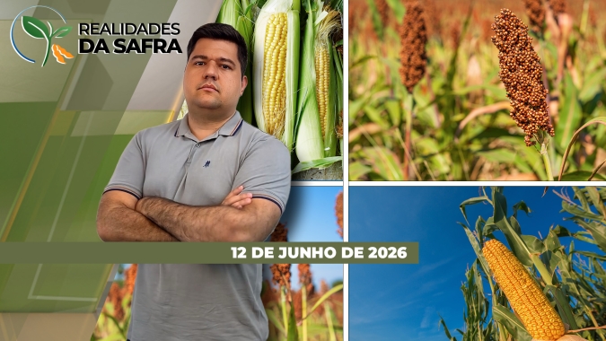 Colheitas de segunda safra começam com otimismo no Mato Grosso, mas perdas consolidadas em Minas Gerais